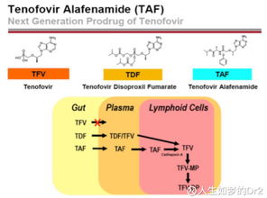 人生如夢(mèng)的DR2 吉利德為何為HIV新藥動(dòng)用第二張?zhí)靸r(jià)優(yōu)先審評(píng)券？