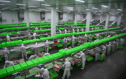 內(nèi)鄉(xiāng)牧原食品城正式投入運(yùn)行 一期投資5億元，年屠宰加工200萬(wàn)頭生豬，推動(dòng)生物技術(shù)開發(fā)
